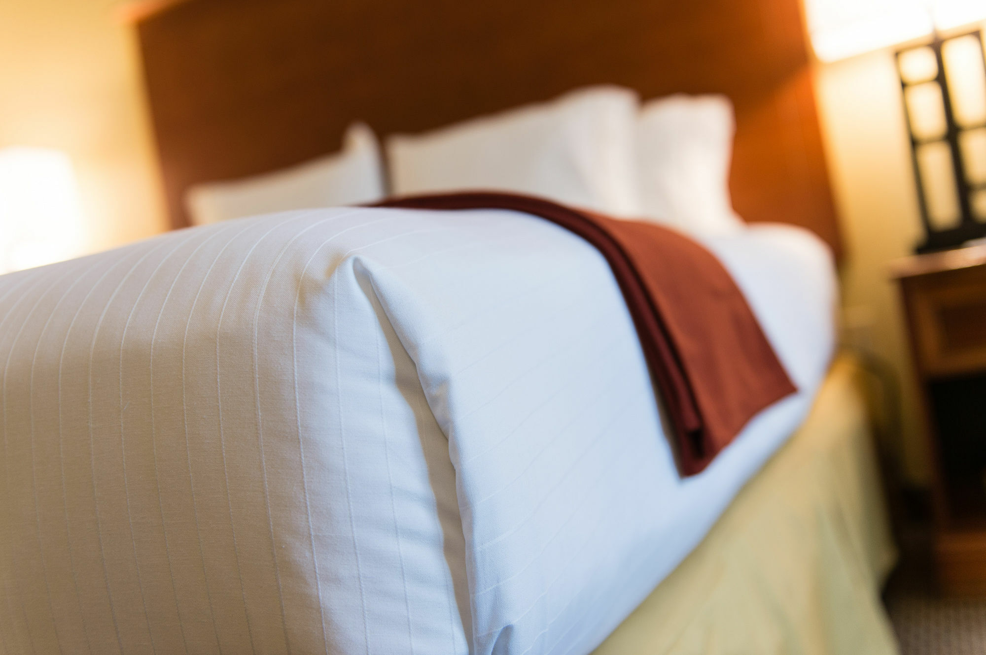Holiday Inn Express & Suites Columbia-I-26 @ Harbison Blvd By Ihg Extérieur photo